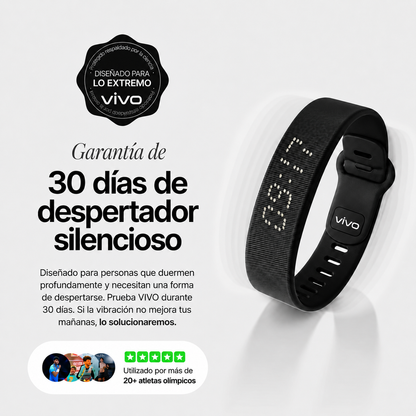 Alarma por Vibración Vivo
